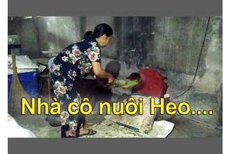 Bàn giao máy thái chuối mịn, giá 3,3tr cho khách hàng ở Long Thành Đồng Nai